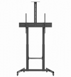 Ekraanialus ratastel 60-100" GEMBIRD TVS-100T-03