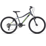 CTM BERRY 24 lastes jalgratas &ndash; hall / roheline 225.035