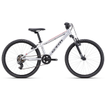 CTM ROCKY 2.0 24" laste ratas &ndash; matt h&otilde;be / tume punane 225.039