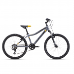 CTM BERRY 2.0 24" lastes jalgratas &ndash; hall 224.041