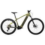 CORRATEC E-POWER X VERT ELITE GENT 29 elektrijalgratas &ndash; roheline BK2840554