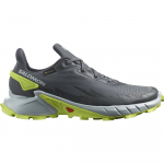SALOMON ALPHACROSS 4 GTX maastikujooksujalatsid &ndash; hall/roheline L4706670053487