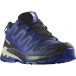 SALOMON XA PRO 3D V9 GTX maastikujooksujalatsid - sinine/must GY-61YD-CHNF
