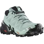 SALOMON SPEEDCROSS 6 GORE-TEX W maastikujooksujalatsid - hele roheline 92-1ODI-JWUD