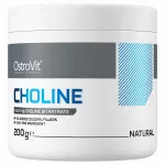 OstroVit Supreme Pure Choline | Holiini bitartraat pulber 200 g