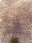 Brown carpet 160 width x 230 length