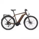 Elektrijalgratas GIANT Explore E+ 4 GTS, Hematite (L) - Brown