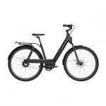 Elektrijalgratas TENWAYS AGO T, Black - Black