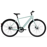 Elektrijalgratas TENWAYS CGO600 Pro, Willow Mist (L) - Blue / L
