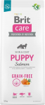 Brit Dry food for puppies and young dogs of all breeds (4 weeks - 12 months).Brit Care Dog Grain-Free Puppy Salmon 12kg