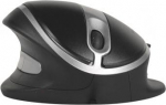 Bakkerelkhuizen Mysz BakkerElkhuizen Oyster, Regulowana, Ergonomiczna (BNEOYM)