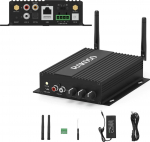 Arylic Arylic SA100 Multiroon Streamer ze wzmacniaczem do zabudowy