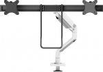 Neomounts Uchwyt biurkowy na 2 monitory 17'' - 27'' (DS75S-950WH2)