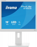 Iiyama Monitor iiyama ProLite B1980S-W1