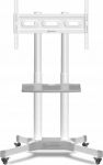 Onkron TV SET ACC MOBILE STAND/32-65''/WHITE TS1351-W ONKRON TS1351-W (4262392440666)