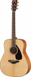Yamaha FG800 Natural 02 - Acoustic guitar