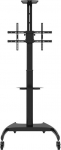 Neomounts Stojak podłogowy PLASMA-M1900E 37'' - 70''