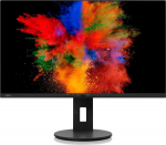 Fujitsu Monitor Fujitsu P2711 TS QHD (S26361-K1703-V160)