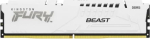 Kingston Memory DDR5 Fury Beast 16GB(1*16GB)/6400 CL32 EXPO white