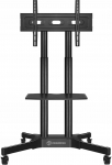 Noname TV SET ACC MOBILE STAND/32-65''/BLACK TS1351-B ONKRON TS1351-B (4262392440659)