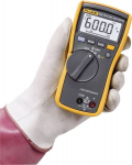 Fluke Multimetr cyfrowy 113 (3088053)