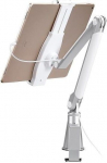 Neomounts Uchwyt Neomounts TABLET ACC DESK STAND/TABLET-D100SILVER NEWSTAR