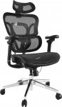 Equip Ergonomischer B&uuml;rostuhl mit Kopf und Armst&uuml;tzen     sw lite Retail