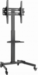 Gembird TVS-55T-01 TV floor stand with caster wheels (tilt), 32" - 55", black