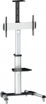 Inline Stojak podłogowy 23170A 37'' - 70''