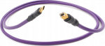 Melodika Kabel USB Melodika USB-C - USB-B 0.75 m Fioletowy (MELO-MDUCB07)