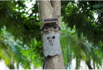 Genway Stealth Gear trail camera Owl Solar 4K