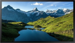 Samsung Monitor Samsung OH55A-S (LH55OHAOSGBXEN)