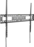 Startech Uchwyt ścienny FPWFXB1 60'' - 100''