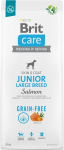 Brit Care Junior Large Breed Salmon - dry dog food - 12 kg