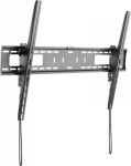 Startech Uchwyt ścienny FPWTLTB1 60'' - 100''