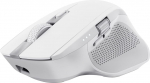 Trust Ozaa+ mouse Office Right-hand RF Wireless + Bluetooth Optical 3200 DPI
