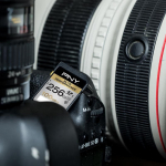 PNY Karta PNY Elite Performance SDXC 256 GB Class 10 UHS-I/U3  (SD256ELIPER-EF)