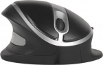 Bakkerelkhuizen Mysz BakkerElkhuizen Oyster Maus Large wireless - BNEOYMWL