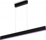 Philips Lampa wisząca Philips Philips Hue Ensis black 2x39W 24V