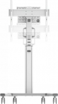 Neomounts Stojak podłogowy na monitor 37'' - 75'' (FL50S-825WH1)