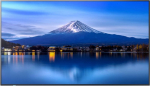 Sharp Monitor Sharp Monitor Videowall 60005916 4K Ultra HD 55''