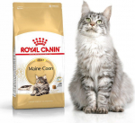 Royal Canin Maine Coon Adult karma sucha dla kot&oacute;w dorosłych rasy maine coon 10 kg