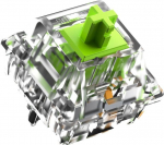 Glorious Raptor Standard Switch, mechaniczny, 5-Pin, clicky, MX-Stem, 55g - lubed, 36 szt.