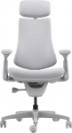 Libernovo Omni Dynamic 45 cm Ergonomic Chair (Gray)