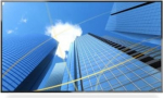 Sharp Monitor MultiSync P506 50 inches UHD 700cd/m2 24/7