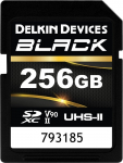 Delkin Karta Delkin Black Rugged SDXC 256 GB Class 10 UHS-II V90 (DSDBV90256BX)
