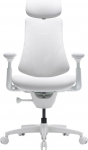 Libernovo Omni GEN 48 cm Ergonomic Chair (White)