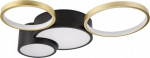 Lamkur Alizee 50980 plafon lampa sufitowa 30W LED 3000-6500K 4400 lm czarny/złoty