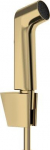 Hansgrohe Bidė du&scaron;elis Hansgrohe 29238990, aukso
