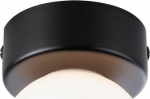 Paulmann Lampa sufitowa Paulmann Lampa sufitowa łazienkowa GOVE LED G9 max.20W IP44 230V czarny matowy / metal